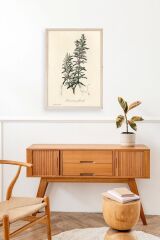 Yaprak Ahşap Çerçeveli Tablo 30 x 42