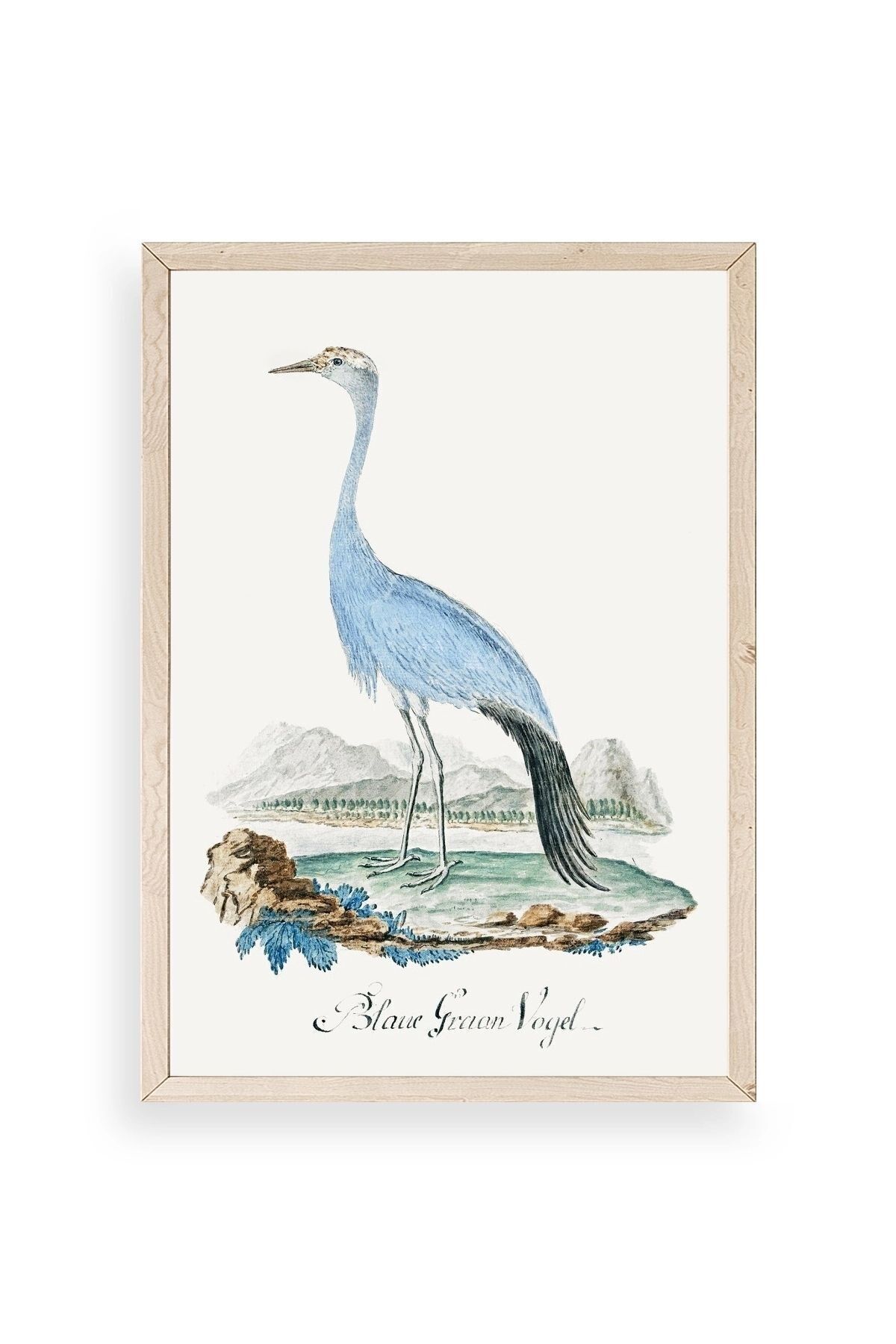 Blaue G. Voyel Ahşap Çerçeveli Tablo 50 x 70