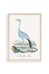 Blaue G. Voyel Ahşap Çerçeveli Tablo 50 x 70