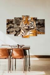 Kaplan Portresi 5 Parçalı Mdf Tablo 60 x 100