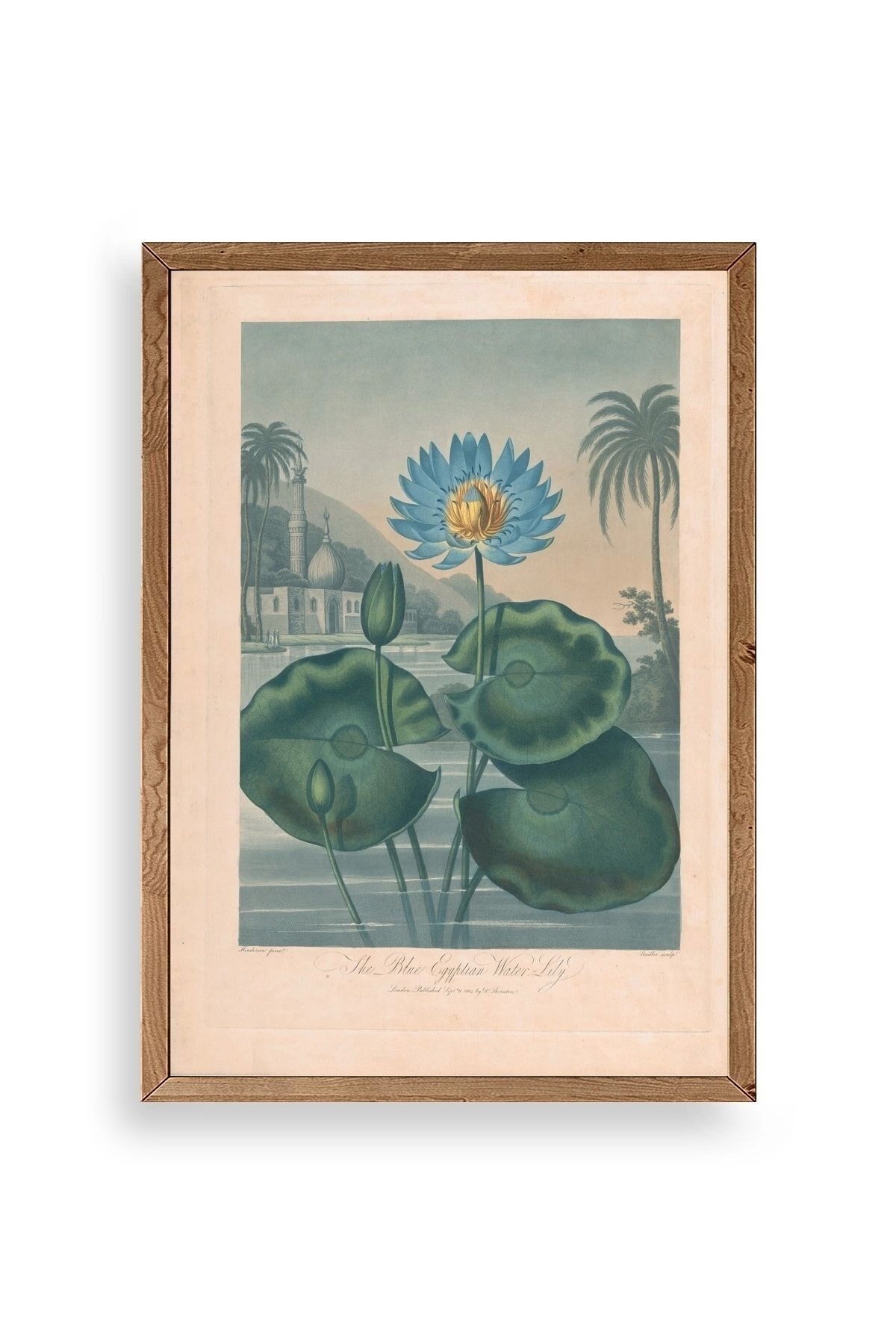 Joseph Constantine Ahşap Çerçeveli Tablo 30 x 42