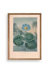 Joseph Constantine Ahşap Çerçeveli Tablo 50 x 70