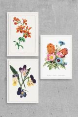 Çiçek Üçlü Ahşap Çerçeveli Tablo 23 x 30