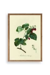 Yaprak Ahşap Çerçeveli Tablo 17 x 23