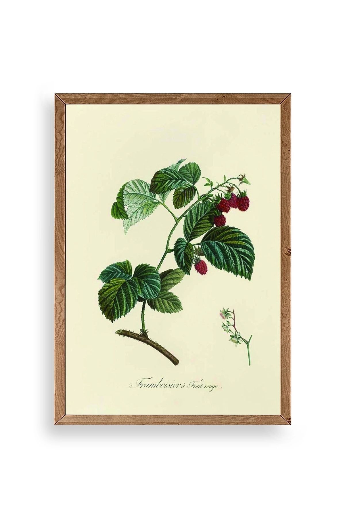 Yaprak Ahşap Çerçeveli Tablo 23 x 30