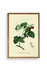 Yaprak Ahşap Çerçeveli Tablo 50 x 70