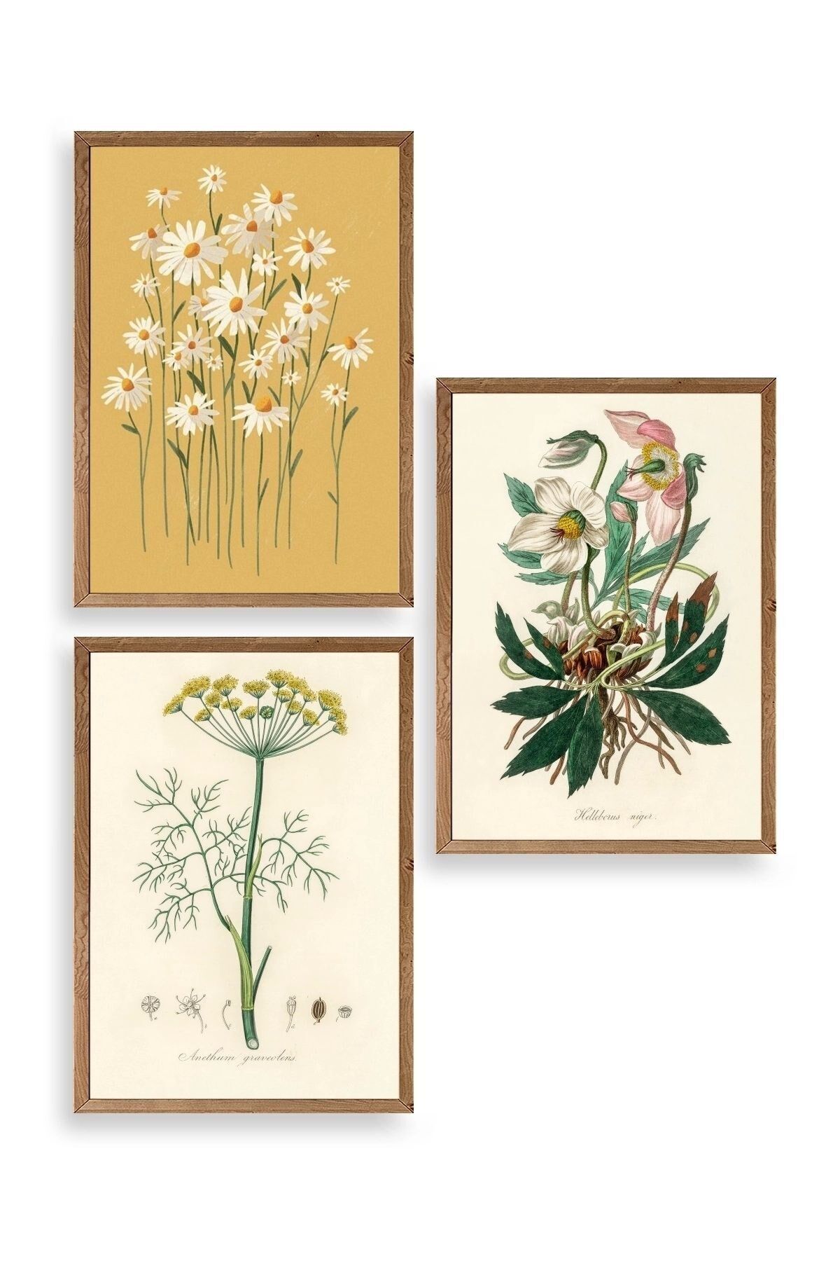 Çiçek Üçlü Ahşap Çerçeveli Tablo 30 x 40