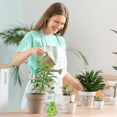 BUFFER® Kurbağa Şeklinde Bitki Sabitleyici – Bahçe ve İç Mekan Bitkileri İçin Dal ve Gövde Destek Aparatı, Çok Amaçlı Bitki Tutucu Klips