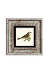 Serçe Çerçeveli Taş Tablo 20 cm