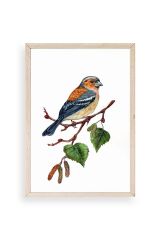 Kuş Ahşap Çerçeveli Tablo 50 x 70