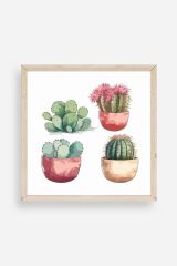 Kaktüs Ahşap Çerçeveli Tablo 42 x 42