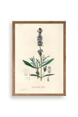 Yaprak Ahşap Çerçeveli Tablo 23 x 30