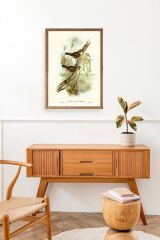Kuşlar Ahşap Çerçeveli Tablo 30 x 42