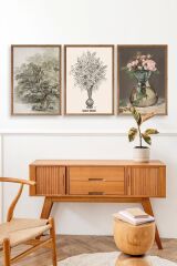 Matisse Üçlü Ahşap Çerçeveli Tablo 23 x 30