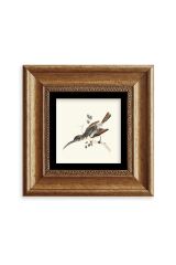 Uzun Gaga Çerçeveli Taş Tablo 20 cm