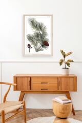 Çam Ahşap Çerçeveli Tablo 50 x 70