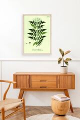 Yapraklar Ahşap Çerçeveli Tablo 50 x 70