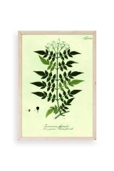 Yapraklar Ahşap Çerçeveli Tablo 17 x 23