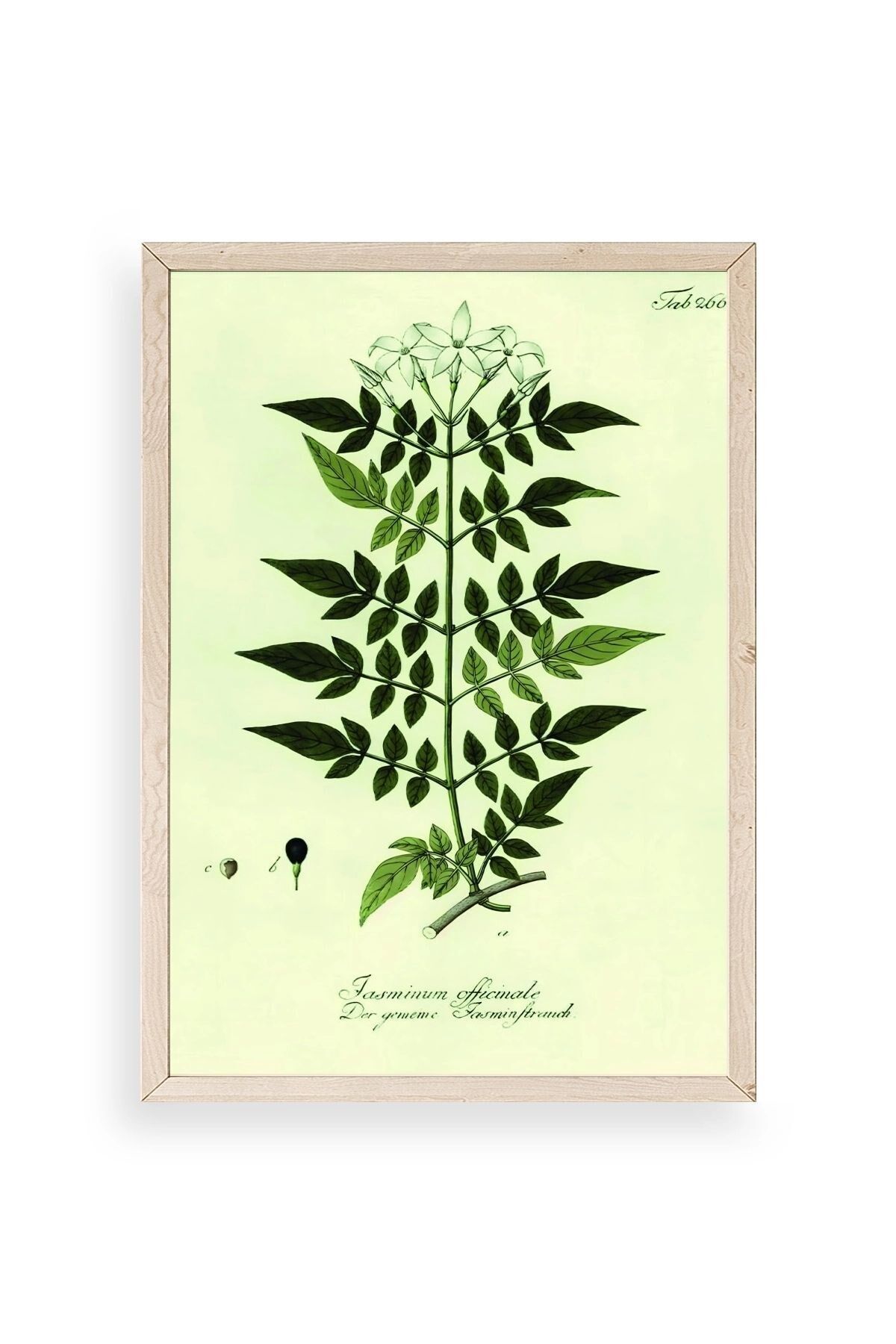 Yapraklar Ahşap Çerçeveli Tablo 23 x 30