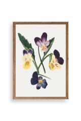 Çiçekler Ahşap Çerçeveli Tablo 23 x 30