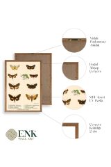 Kelebekler Ahşap Çerçeveli Tablo 50 x 70