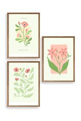Botanik Üçlü Ahşap Çerçeveli Tablo 50 x 70