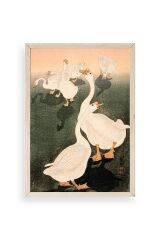 Kuğular Ahşap Çerçeveli Tablo 50 x 70