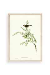 Daldaki Kuş Ahşap Çerçeveli Tablo 17 x 23