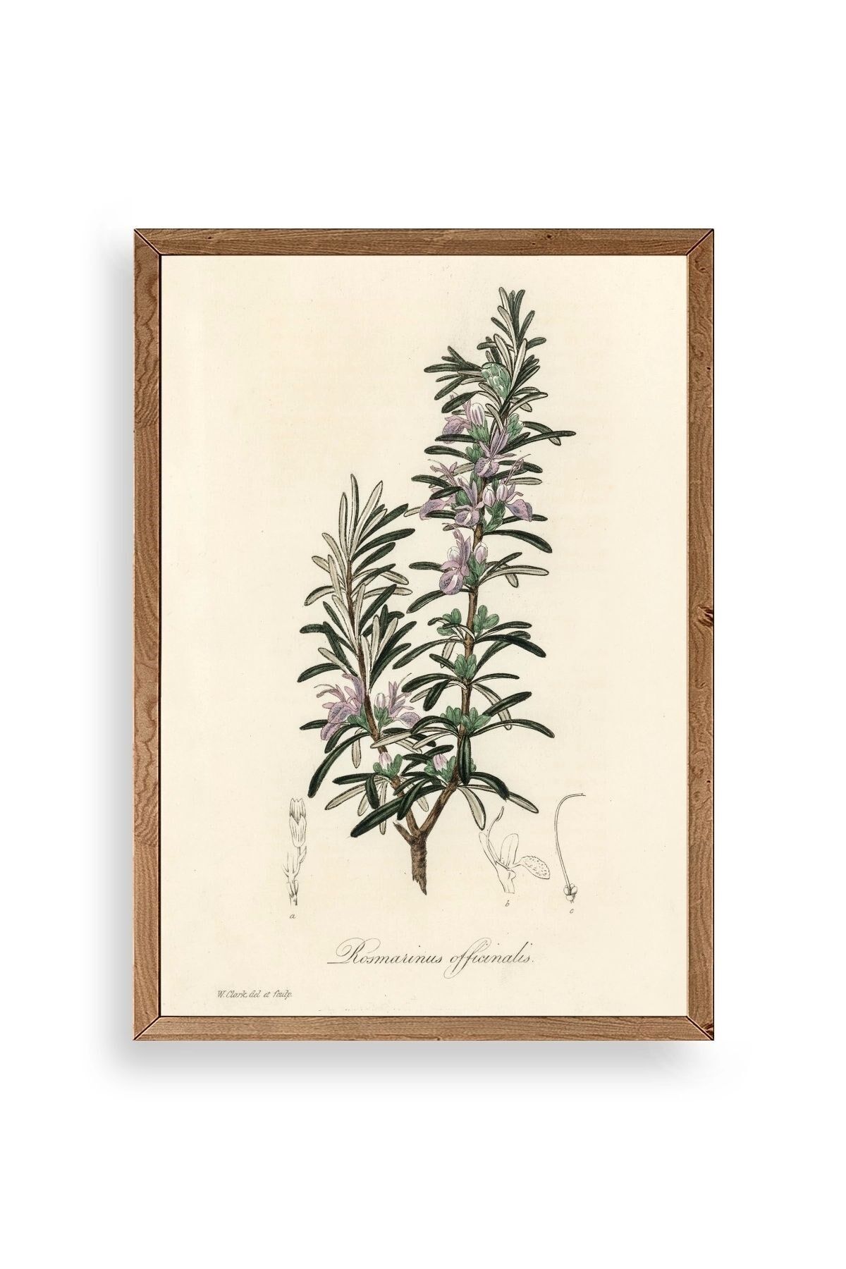 Yaprak Ahşap Çerçeveli Tablo 23 x 30