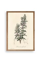 Yaprak Ahşap Çerçeveli Tablo 23 x 30