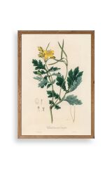 Çiçek Ahşap Çerçeveli Tablo 23 x 30