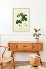 Yaprak Ahşap Çerçeveli Tablo 30 x 42