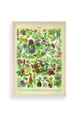 Çiçekler Ahşap Çerçeveli Tablo 30 x 42