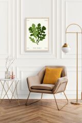 Yaprak Ahşap Çerçeveli Tablo 23 x 30