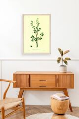 Yapraklar Ahşap Çerçeveli Tablo 30 x 42