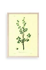 Yapraklar Ahşap Çerçeveli Tablo 50 x 70