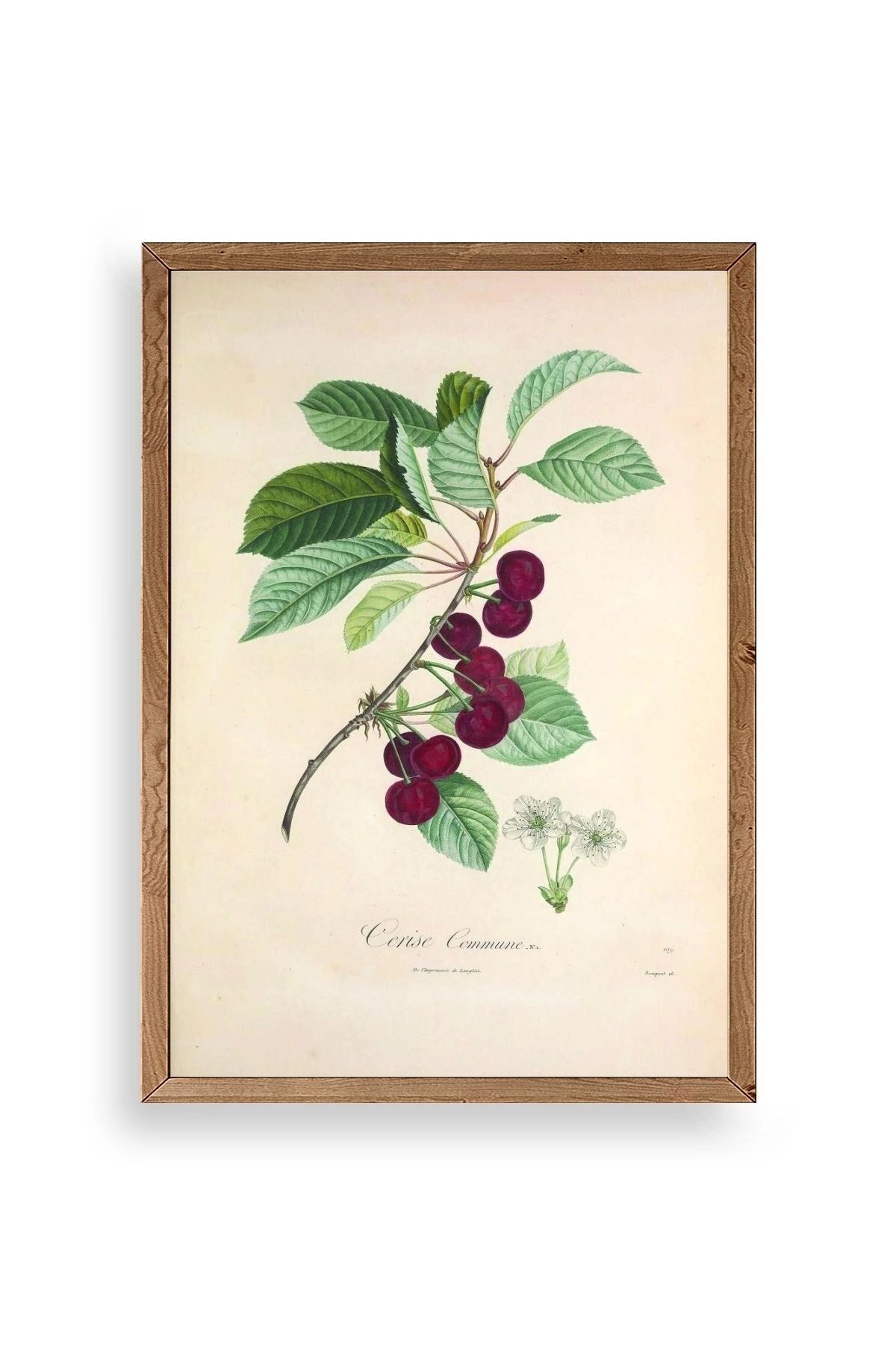 Meyveler Ahşap Çerçeveli Tablo 50 x 70