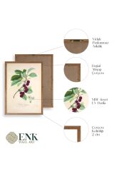 Meyveler Ahşap Çerçeveli Tablo 23 x 30