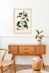 Yaprak Ahşap Çerçeveli Tablo 23 x 30