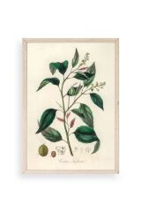 Yaprak Ahşap Çerçeveli Tablo 50 x 70