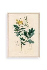 Çiçek Ahşap Çerçeveli Tablo 30 x 42