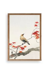 Ohara Coson Ahşap Çerçeveli Tablo 30 x 42