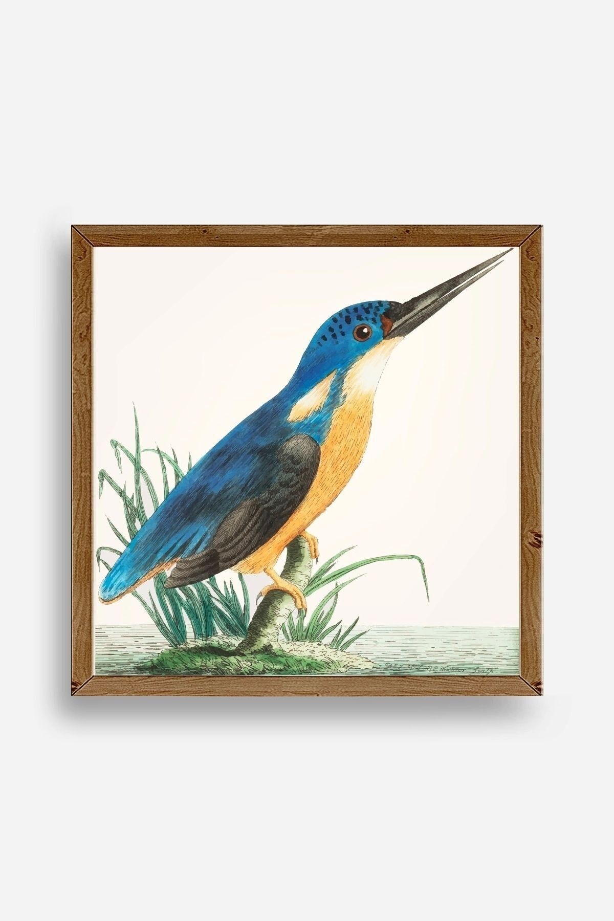 Kuş Ahşap Çerçeveli Tablo 42 x 42