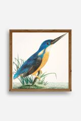 Kuş Ahşap Çerçeveli Tablo 42 x 42