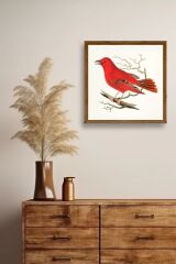 Kuş Ahşap Çerçeveli Tablo 50 x 50