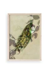 Kuş Ahşap Çerçeveli Tablo 17 x 23