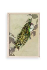 Kuş Ahşap Çerçeveli Tablo 30 x 42