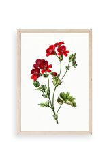 Çiçekler Ahşap Çerçeveli Tablo 23 x 30