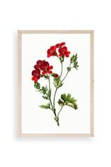 Çiçekler Ahşap Çerçeveli Tablo 50 x 70