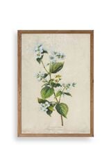 Çiçek Ahşap Çerçeveli Tablo 23 x 30